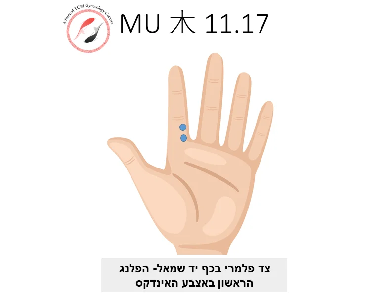 נקודת mu מסטר דונג
