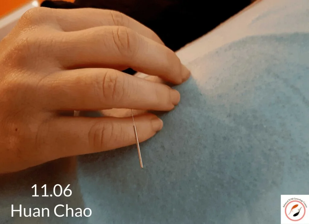 Huan Chao 还巢 11.06 Master Tung’s Acupuncture Point