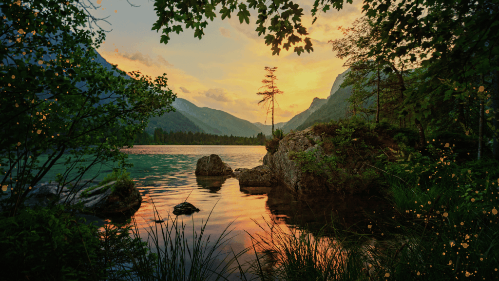 Autumn Energy In Acupuncture